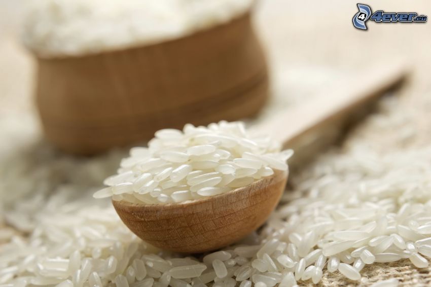 rizs, kanál