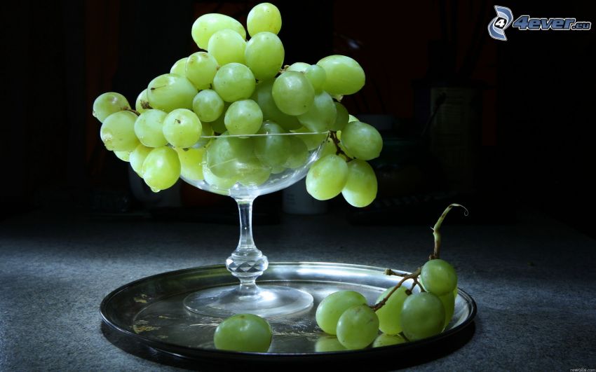 szőlő, pohár