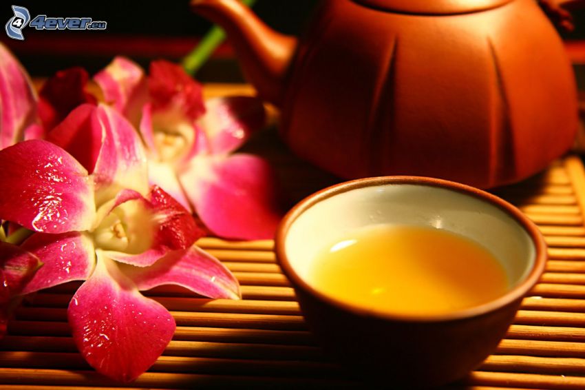 tea, teáskanna, Orchidea