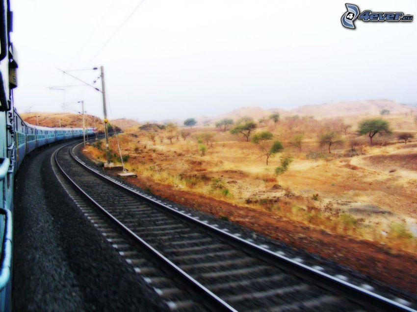 vonat, sínek, India