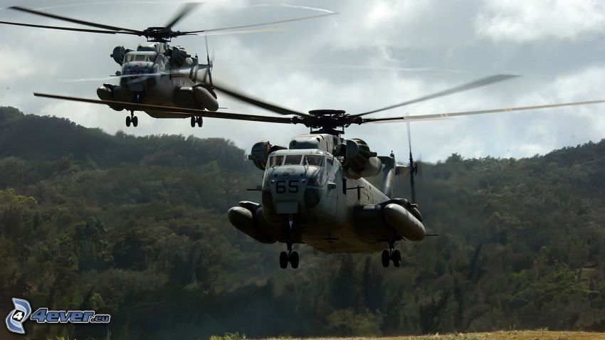 CH-53 Sea Stallion, katonai helikopterek