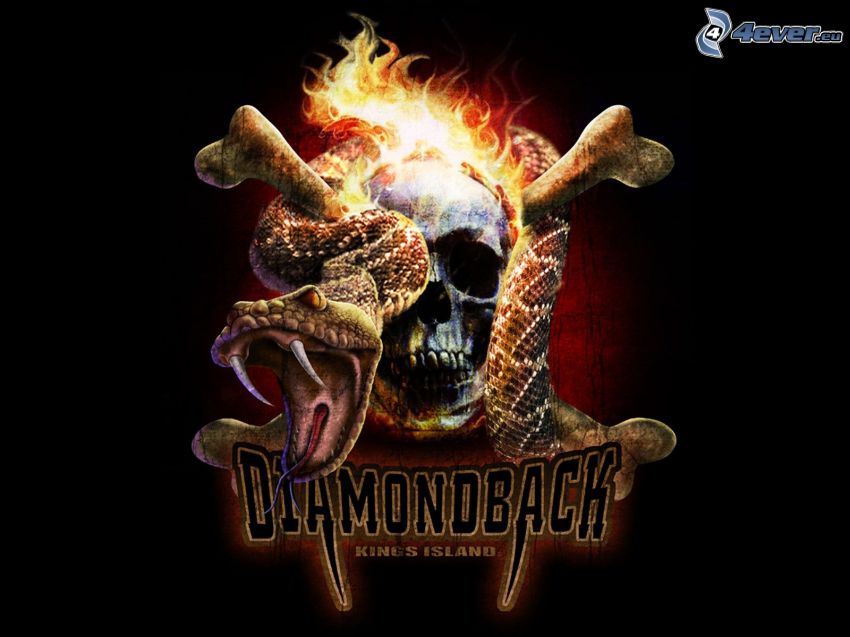 Diamondback, koponya, kígyó, tűz