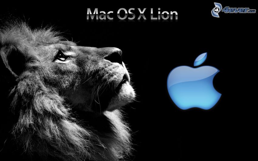 Mac OS X Lion, oroszlán, Apple