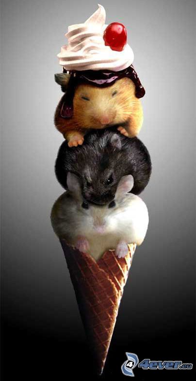 fagylalt, egerek, tölcsér