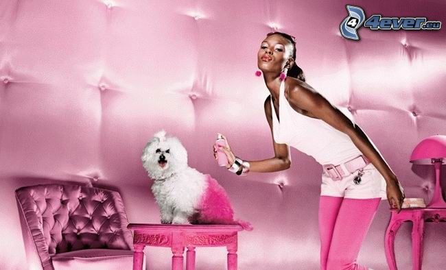 kutya, kozmetika, parfüm, rózsaszín