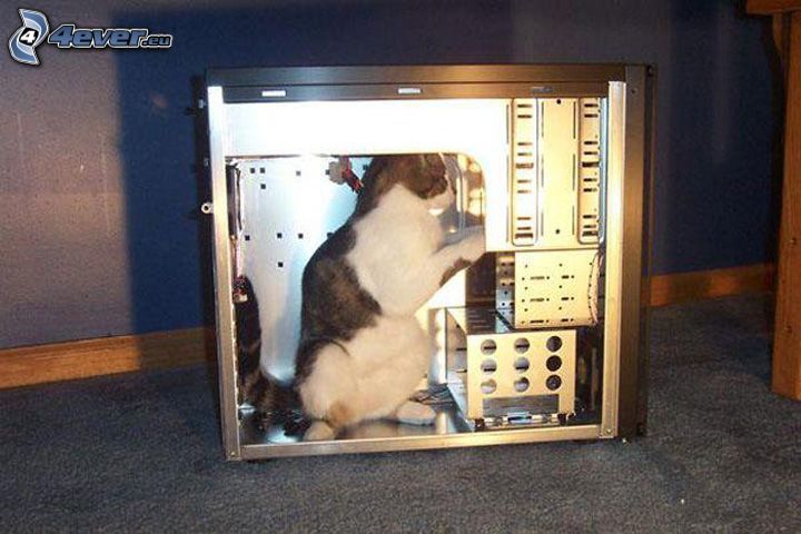 macska, számítógép, javítás