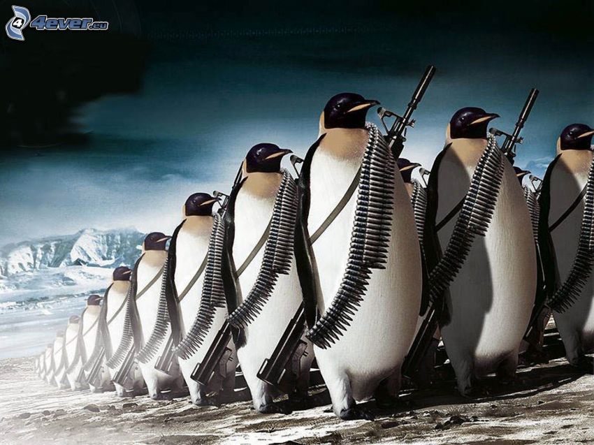 pingvinek, katonák