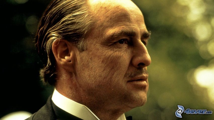 Don Vito Corleone, Keresztapa