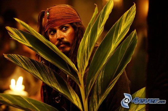 Jack Sparrow, Johnny Depp, Karib-tenger kalózai