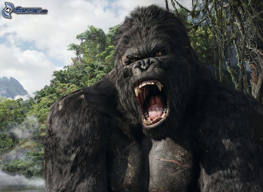 King Kong, gorilla, ordítás