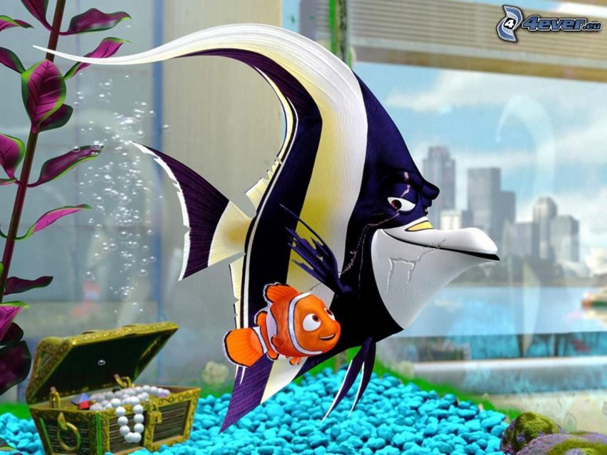 Nemo, akvárium
