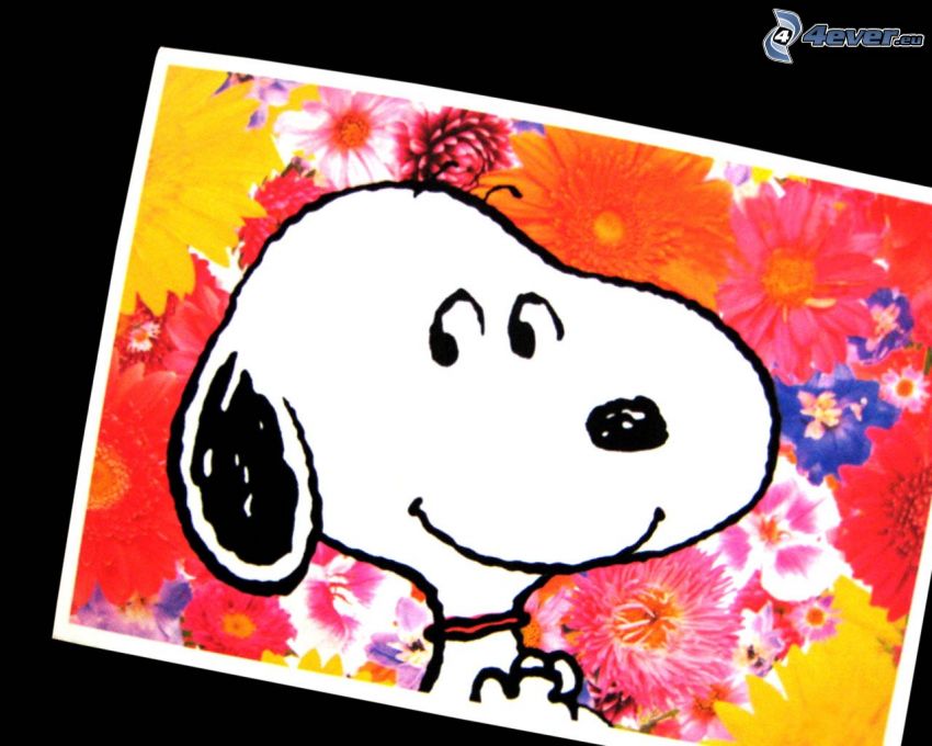 Snoopy, rajzolt kutya, színes virágok
