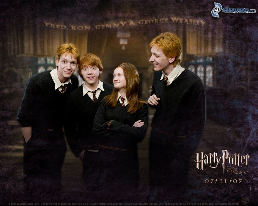 Weasley, Harry Potter