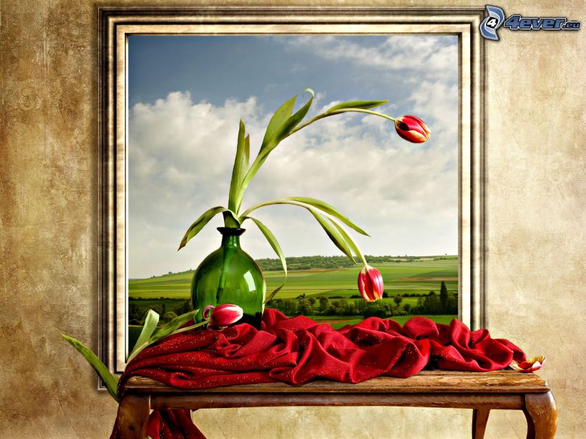 kép, piros tulipánok, sál