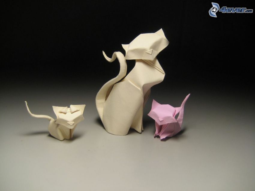 origami, macskák