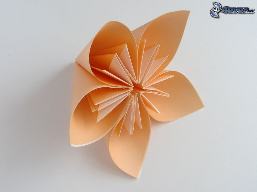 origami, narancssárga virág