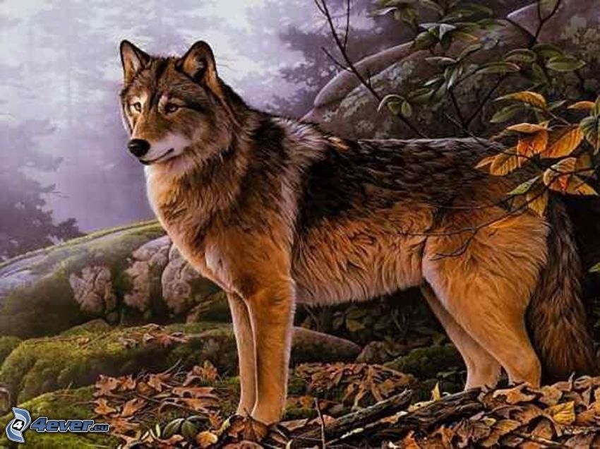 rajzolt farkas