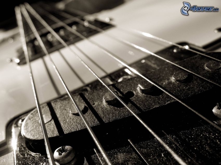 gitár, húrok, fekete-fehér kép
