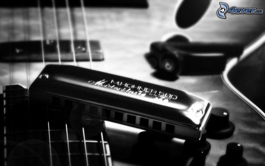 harmonika, gitár, húrok, fekete-fehér kép