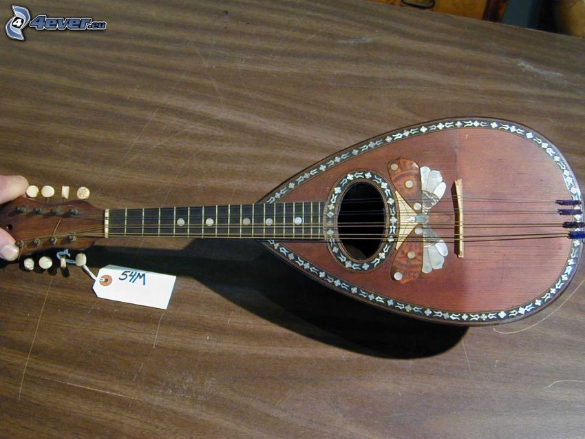 mandolin