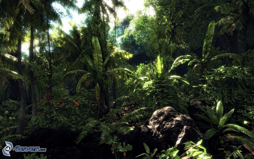 Crysis, dzsungel