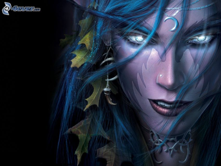 World of Warcraft, elf, PC játék