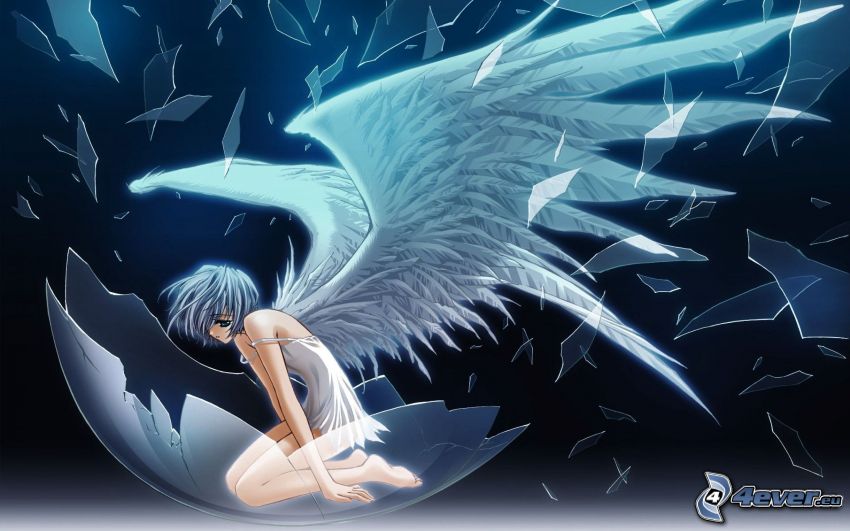 anime lány, fehér szárnyak, szilánkok