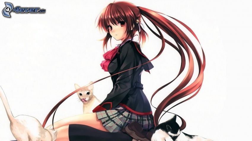 anime lány, hosszú haj, macskák