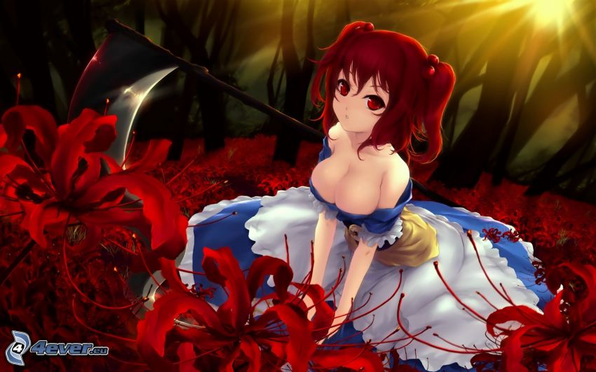 anime lány, napnyugta, piros virágok