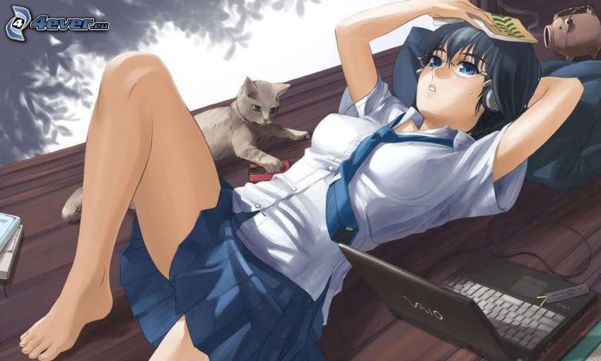 anime lány, szürke macska, notebook