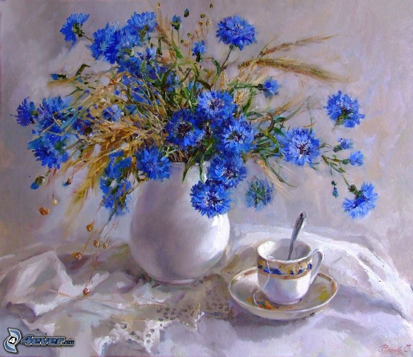 búzavirág, virágok vázában, csésze