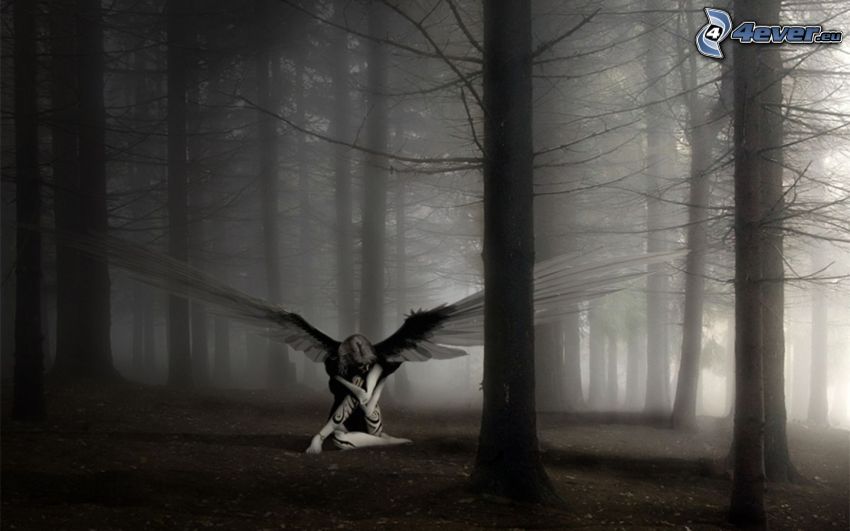 angyal, nő szárnyakkal, sötét erdő