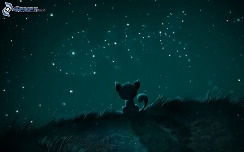 cica, hal, rajzolt macska, csillagképek