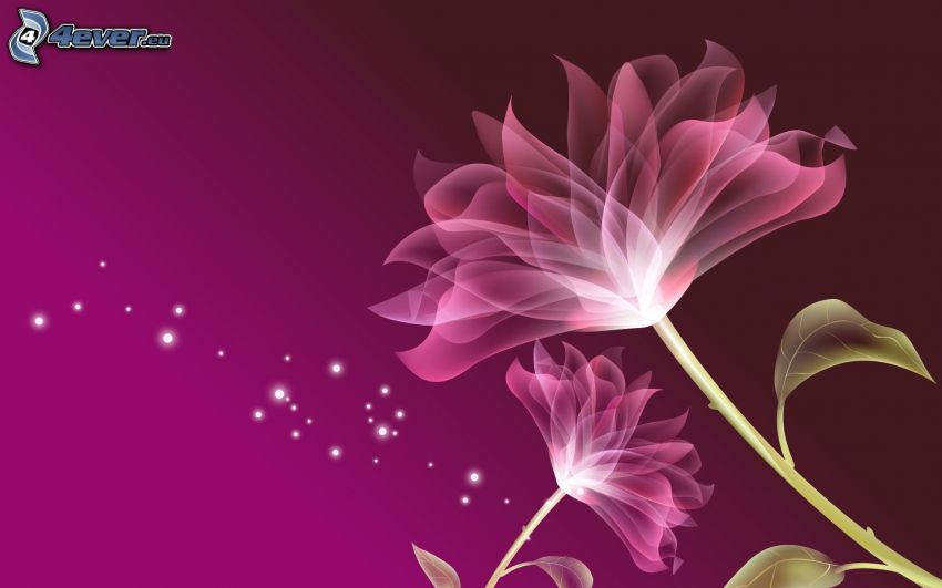 digitális virágok, lila háttér