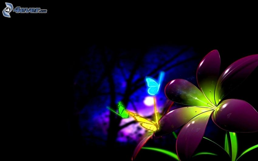 digitális virágok, színes pillangók