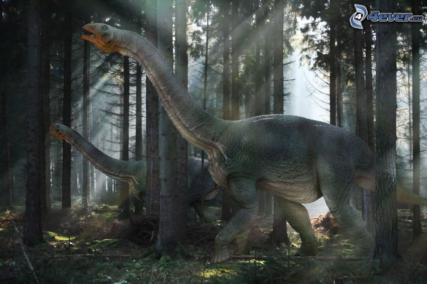 dinoszauruszok, napsugarak az erdőben