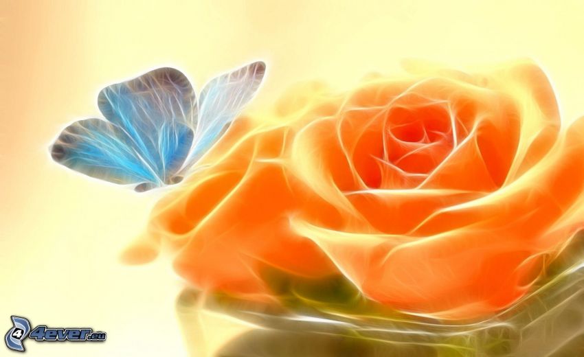 fraktális pillangó, narancssárga rózsák, fraktál