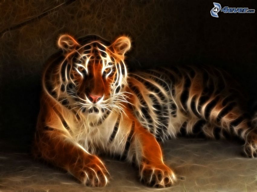 fraktális tigris, fraktális állatok