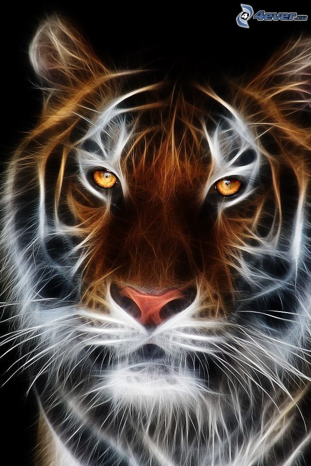 fraktális tigris