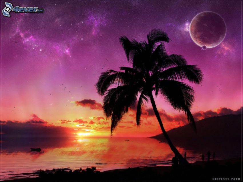 naplemente a tengerparton, pálmafa, holdak, csillagok