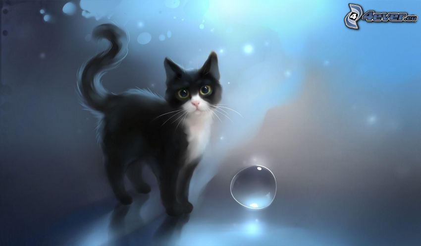 fekete macska, buborék