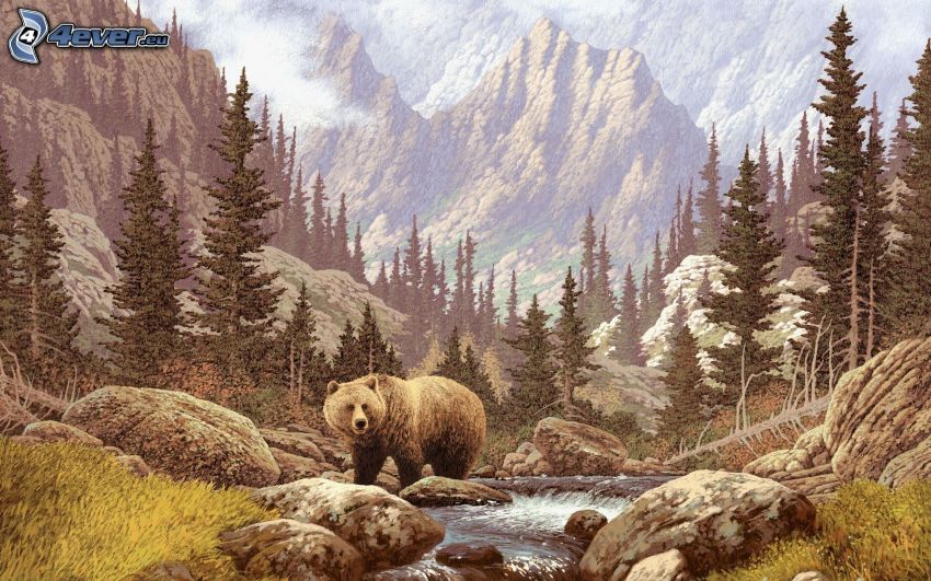 grizzly medve, patak, tűlevelű fák, magas hegyek