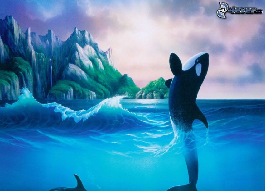 kardszárnyú delfin, ugrás, hullám, sziklák