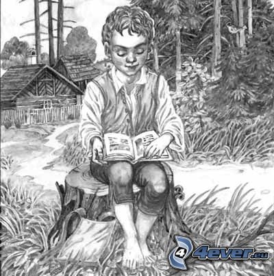 kisfiú, erdő, könyv, házikó