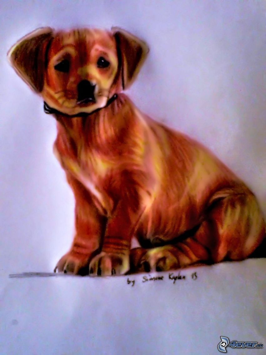 rajzolt kutya