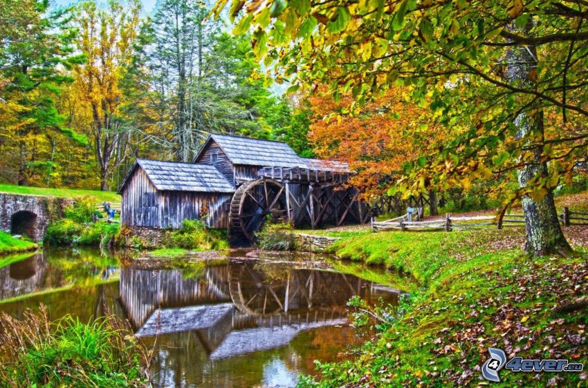 Mabry Mill, folyó, visszatükröződés, őszi fák