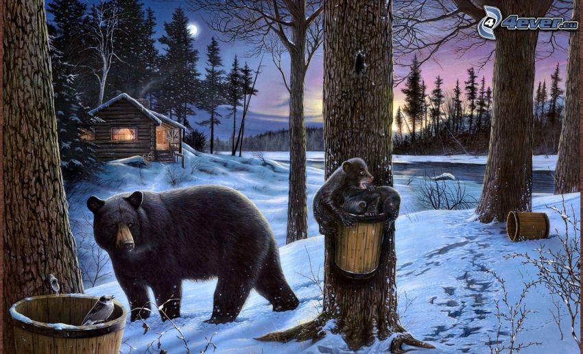 medvék, fészekalja, havas táj, este