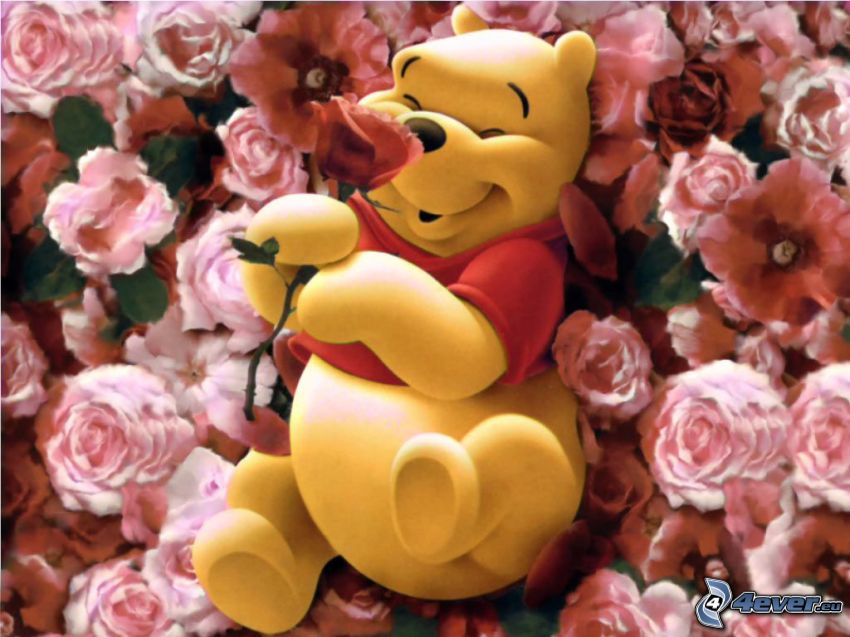 Micimackó, Winnie the Pooh, mackó