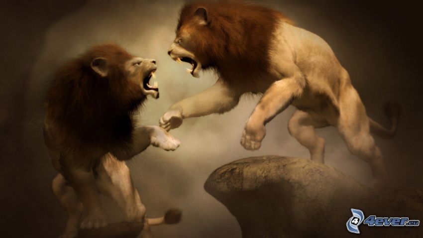 oroszlánok, támadás