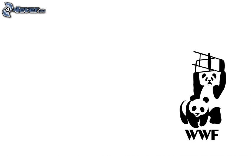 pandák, WWF